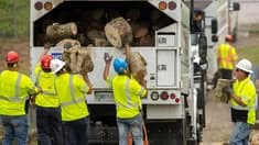 Workers loading cut tree branches into a truck